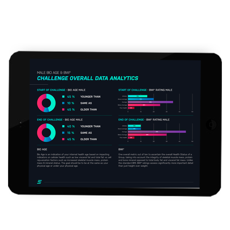 Evolt Insights Dashboard